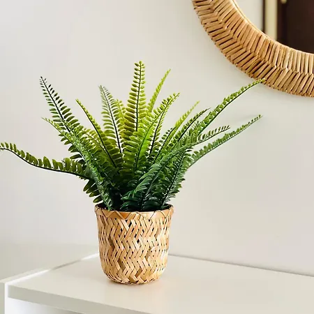 Cannesazur - Terrasse Centre Apartman